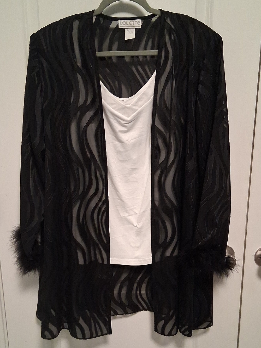 Black Sheer Wave-Pattern Robe with Feather Trim